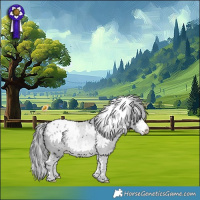 Horse Color:White Spotted Bay Chinchilla Appaloosa 