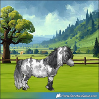 Horse Color:White Spotted Bay Chinchilla 