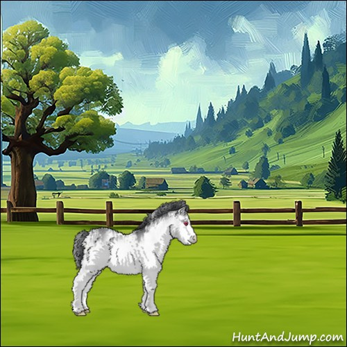 Horse Color:White Spotted Bay Chinchilla 