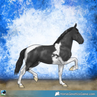 Horse Color:Platinum Black Tobiano