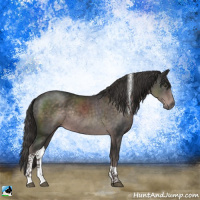 Horse Color:Platinum Liver Chestnut Tobiano Rabicano 