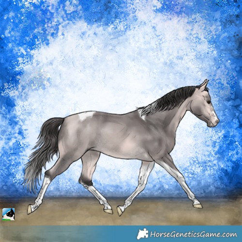 Horse Color:Platinum Buckskin Tobiano Rabicano 