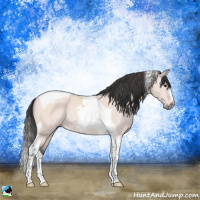 Horse Color:Platinum Buckskin Tobiano Rabicano