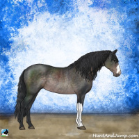 Horse Color:Platinum Brown Rabicano 