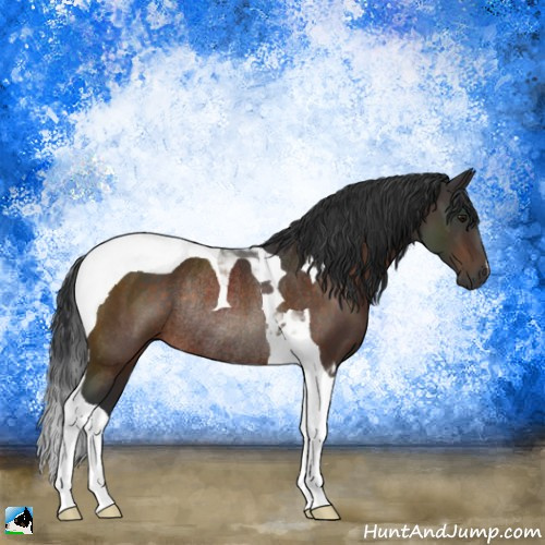Horse Color:Brown Tobiano Rabicano 