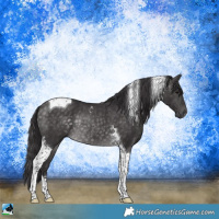 Horse Color:Platinum Buckskin Tobiano Rabicano