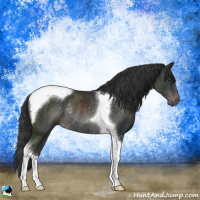 Horse Color:Platinum Liver Chestnut Tobiano Rabicano