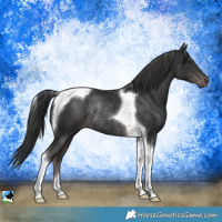 Horse Color:Platinum Liver Chestnut Tobiano Rabicano