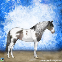 Horse Color:Platinum Liver Chestnut Tobiano Frame Rabicano