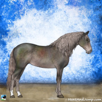 Horse Color:Platinum Liver Chestnut Rabicano 