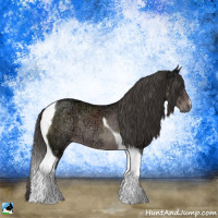 Horse Color:Platinum Liver Chestnut Ice Tobiano Rabicano 
