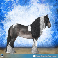 Horse Color:Platinum Brown Tobiano