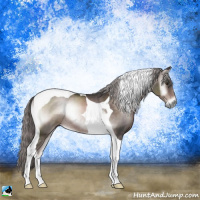 Horse Color:Platinum Liver Red Onyx Tobiano Rabicano