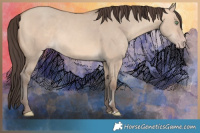 Horse Color:Amber Champagne Dun Rabicano