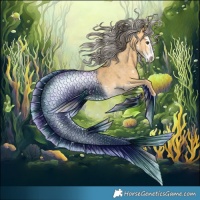 Horse Color:Buckskin Dun Sabino Rabicano  and Silver Buckskin Dun Sabino Splash Rabicano