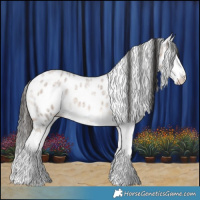 Horse Color:Liver Red Dun Roan Splash Near Leopard 
