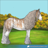 Horse Color:Chocolate Palomino Sabino Splash 