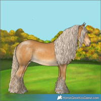 Horse Color:Palomino