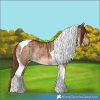 Horse Color:Red Dun Tobiano Rabicano Brindle 