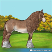 Horse Color:Liver Red Dun Brindle 