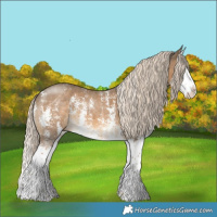 Horse Color:Chocolate Palomino Sabino Splash 