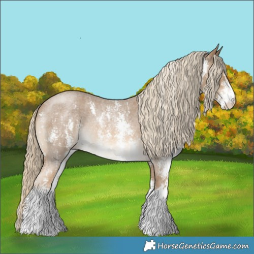 Horse Color:Chocolate Palomino Roan Sabino Rabicano 