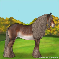 Horse Color:Liver Chestnut Rabicano 