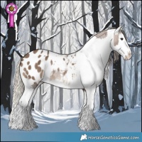 Horse Color:Brown Dun Splash Blanket Rabicano  and Liver Red Dun Splash Blanket Rabicano 
