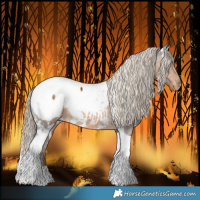 Horse Color:White Spotted Chocolate Palomino Tobiano Appaloosa Rabicano