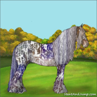 Horse Color:Chocolate Palomino Splash Tobiano Appaloosa and White Spotted Liver Chestnut