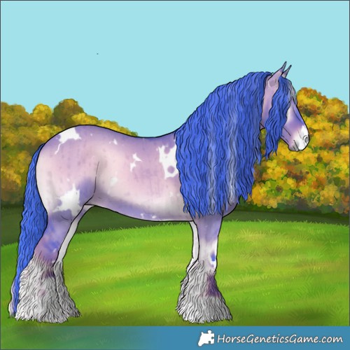 Horse Color:Watercolor White Spotted Liver Red Dun Onyx Brindle 