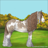 Horse Color:White Spotted Liver Red Dun Splash Appaloosa Rabicano Brindle 