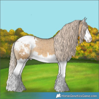 Horse Color:Chocolate Palomino Dun Splash Appaloosa