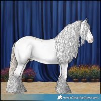 Horse Color:Chocolate Palomino Dun Splash Snowcap 