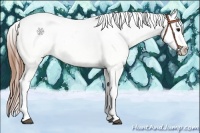 Horse Color:Bay Tobiano Frame Appaloosa Rabicano