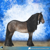 Horse Color:Brown Dun Brindle 