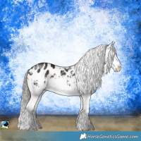 Horse Color:Liver Chestnut Mushroom Sabino Blanket Rabicano 