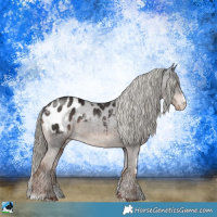 Horse Color:Liver Chestnut Mushroom Sabino Appaloosa Rabicano 