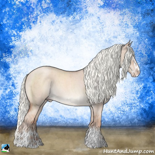 Horse Color:Gold Champagne Roan Dun Mushroom Sabino Splash Rabicano Brindle 