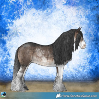 Horse Color:Brown Dun Sabino Rabicano Brindle 
