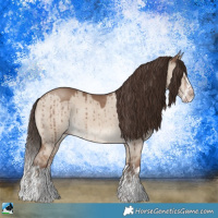 Horse Color:Classic Champagne Dun Sabino Splash Rabicano Brindle 