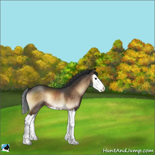 Horse Color:Brown Onyx Sabino Splash Rabicano 