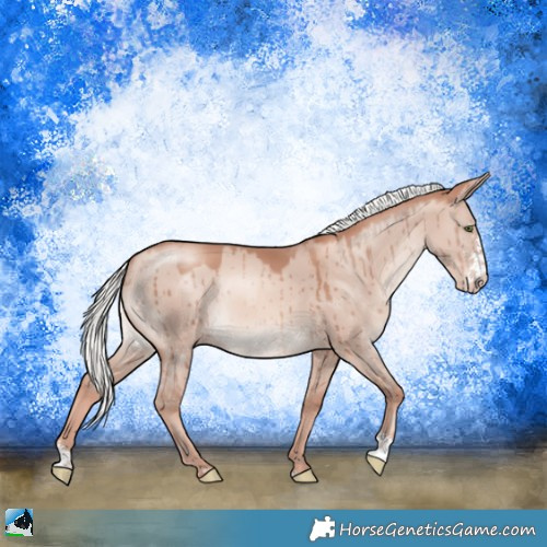 Horse Color:Gold Champagne Dun Mushroom Sabino Rabicano Brindle 
