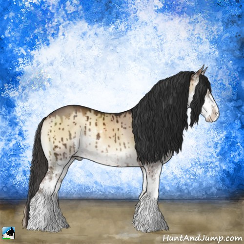 Horse Color:Liver Red Dun Onyx Sabino Rabicano Brindle 