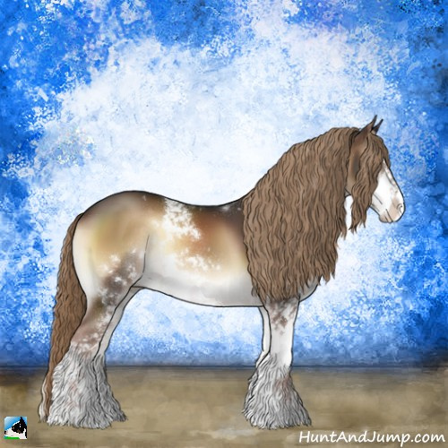 Horse Color:Liver Red Onyx Sabino Rabicano