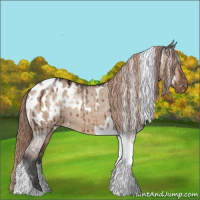 Horse Color:White Spotted Liver Red Dun Tobiano Blanket Brindle 