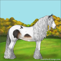 Horse Color:Gray Brown Splash Tobiano 