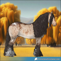 Horse Color:White Spotted Bay Dun Sabino Brindle 