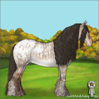 Horse Color:Liver Red Dun Sabino Tobiano Blanket Rabicano  and Liver Red Dun Blanket Rabicano 