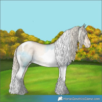 Horse Color:Chocolate Palomino Pearl Dun Tobiano Rabicano Brindle 